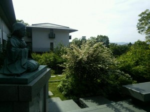 2015.05.31　水景6
